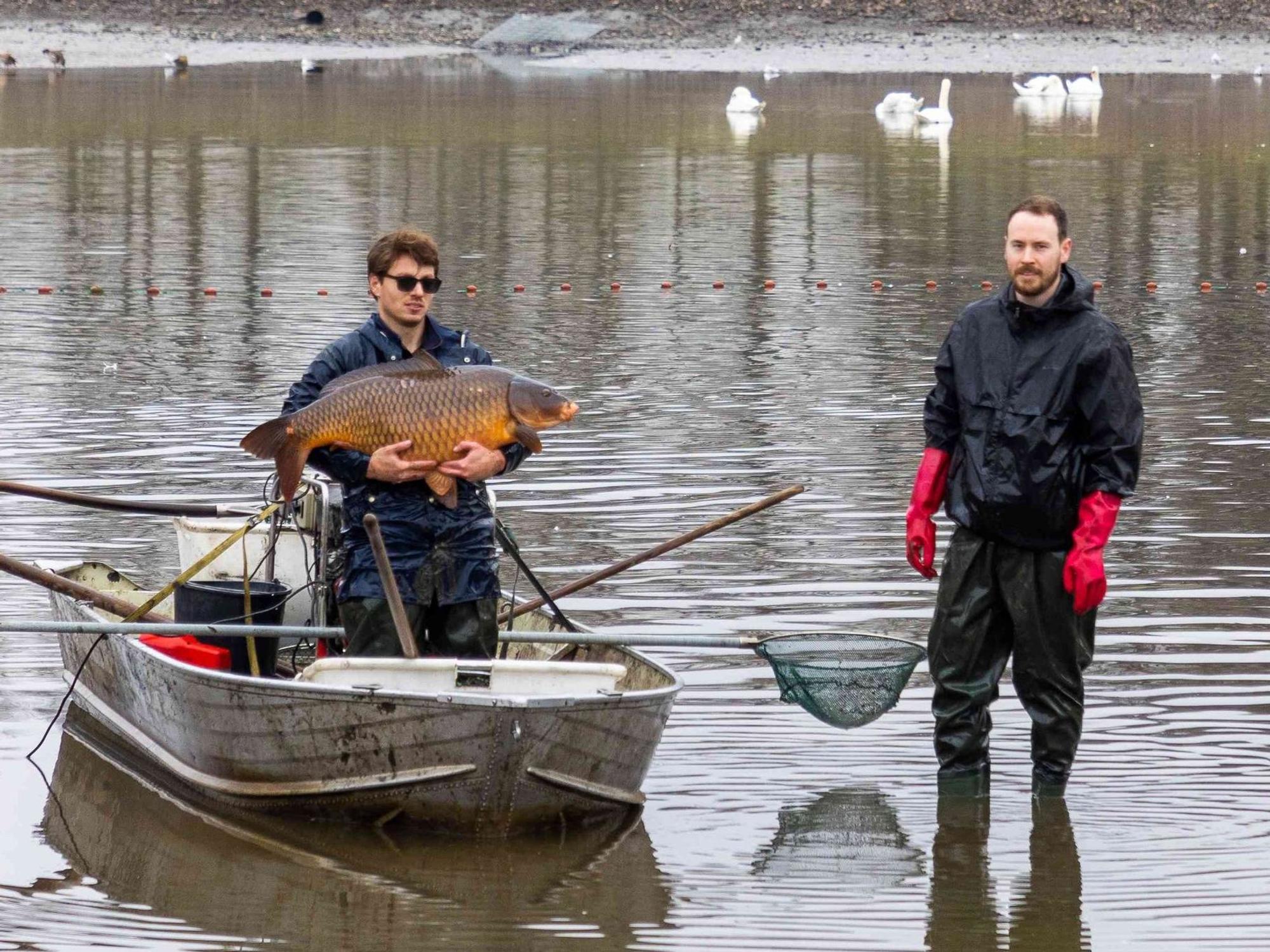 Ein Mann auf einem Boot hält einen Fisch.