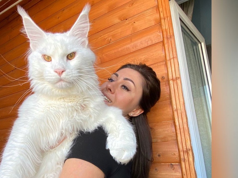 Yulia Minina mit ihrer Riesenkatze „Kefir“ auf dem Arm in einem Zimmer.