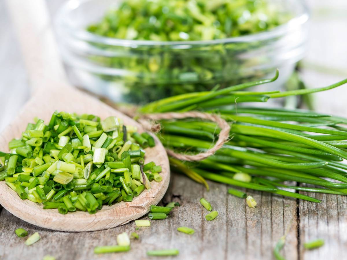 Frischer Schnittlauch lässt sich durch Einfrieren konservieren. Mit unserer Anleitung bleibt er aromatisch und lecker.