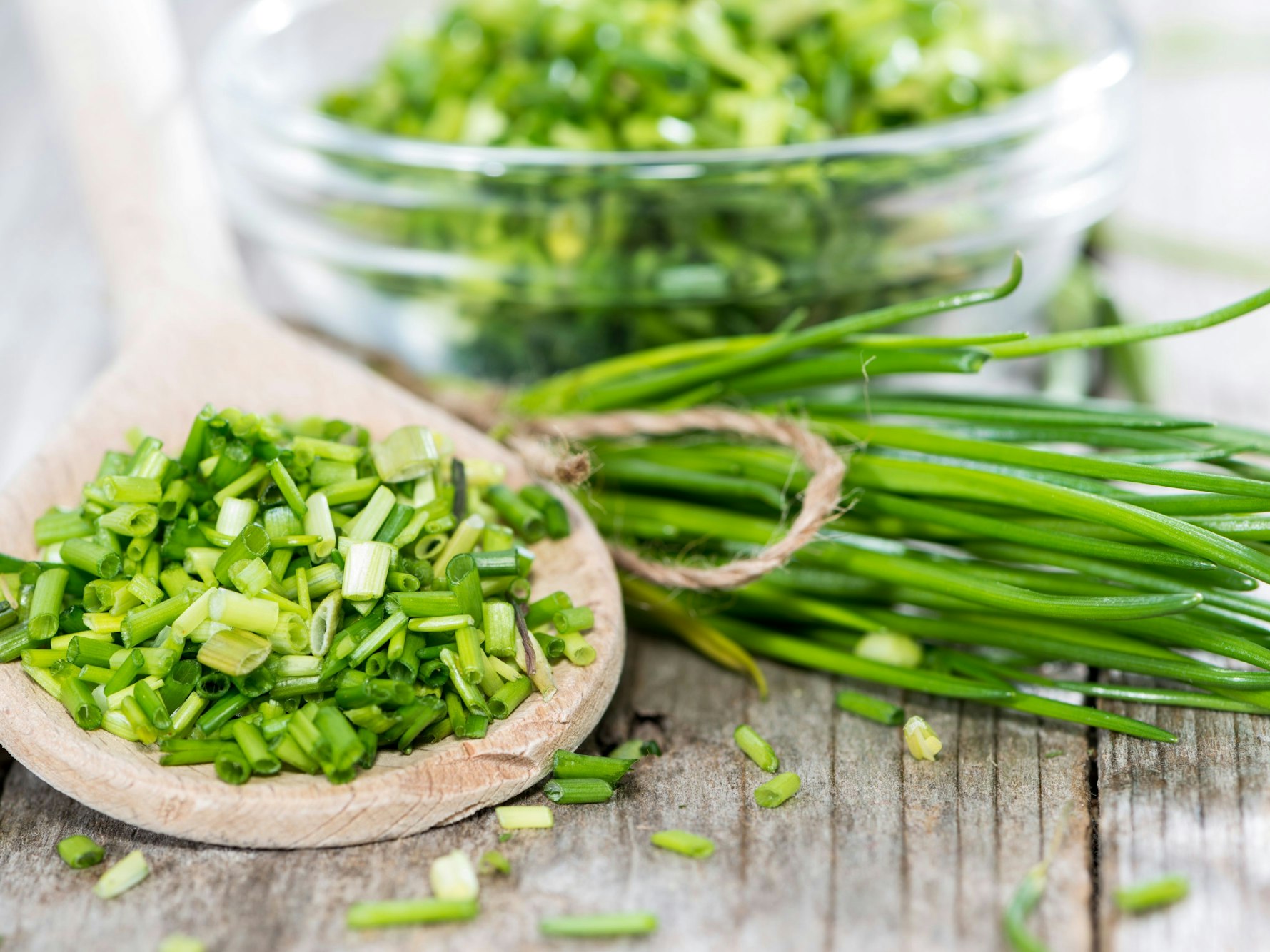 Frischer Schnittlauch lässt sich durch Einfrieren konservieren. Mit unserer Anleitung bleibt er aromatisch und lecker.