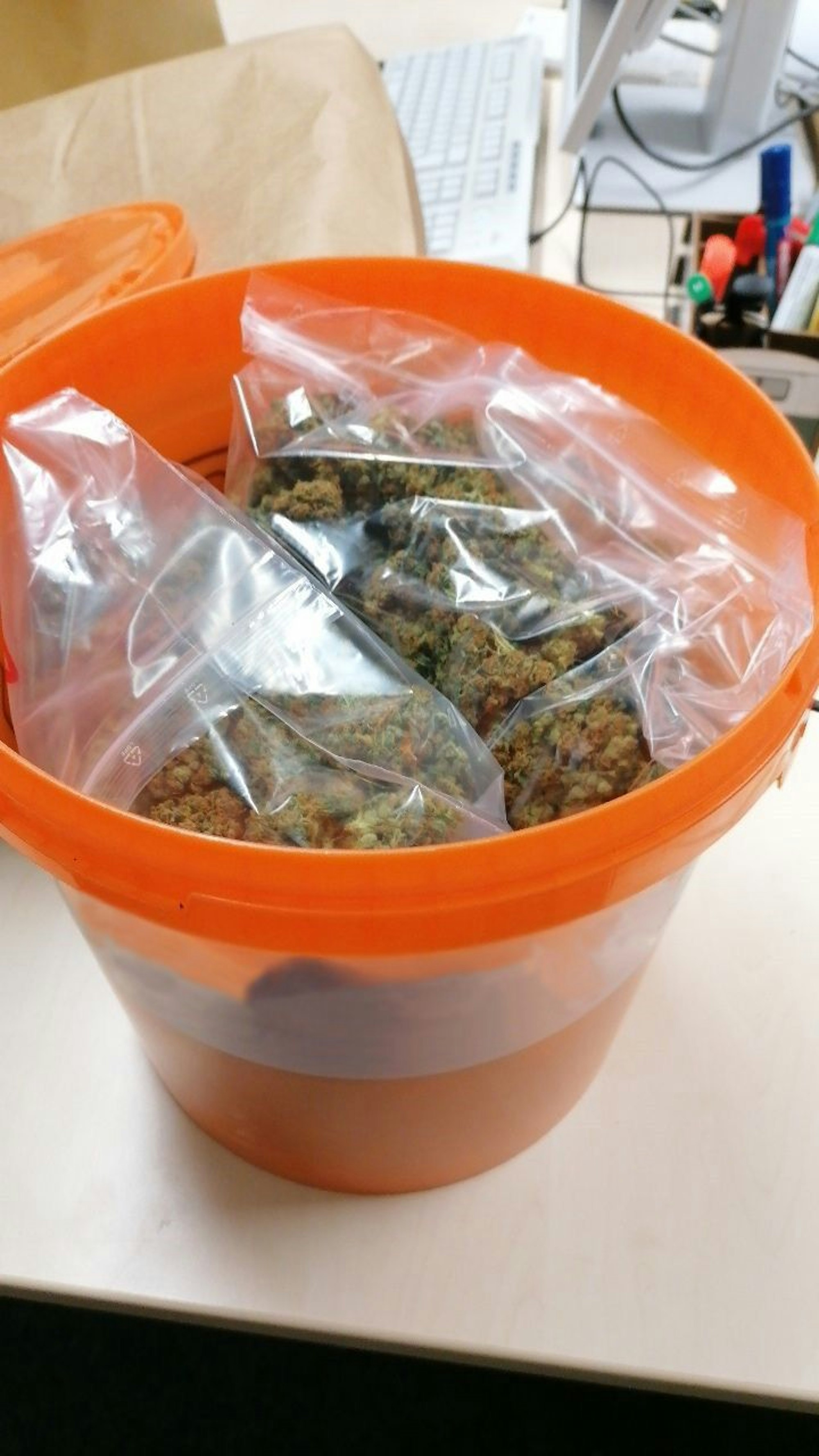 Eimer mit Marihuana, den die Polizei am 20. Januar 2022 bei einem Schrottsammler aus Köln fand.