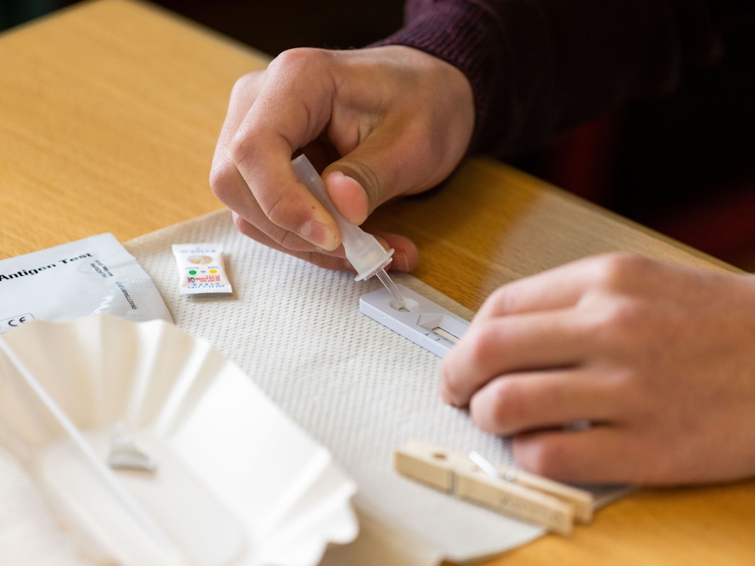 Ein Schüler träufelt fertige Lösungsflüssigkeit für den Corona-Selbsttest auf einen Teststreifen.