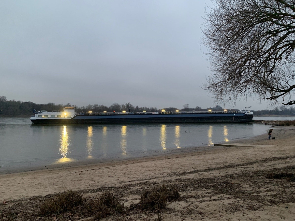 Der aufgelaufene Tankfrachter am Rheinufer in Rodenkirchen.