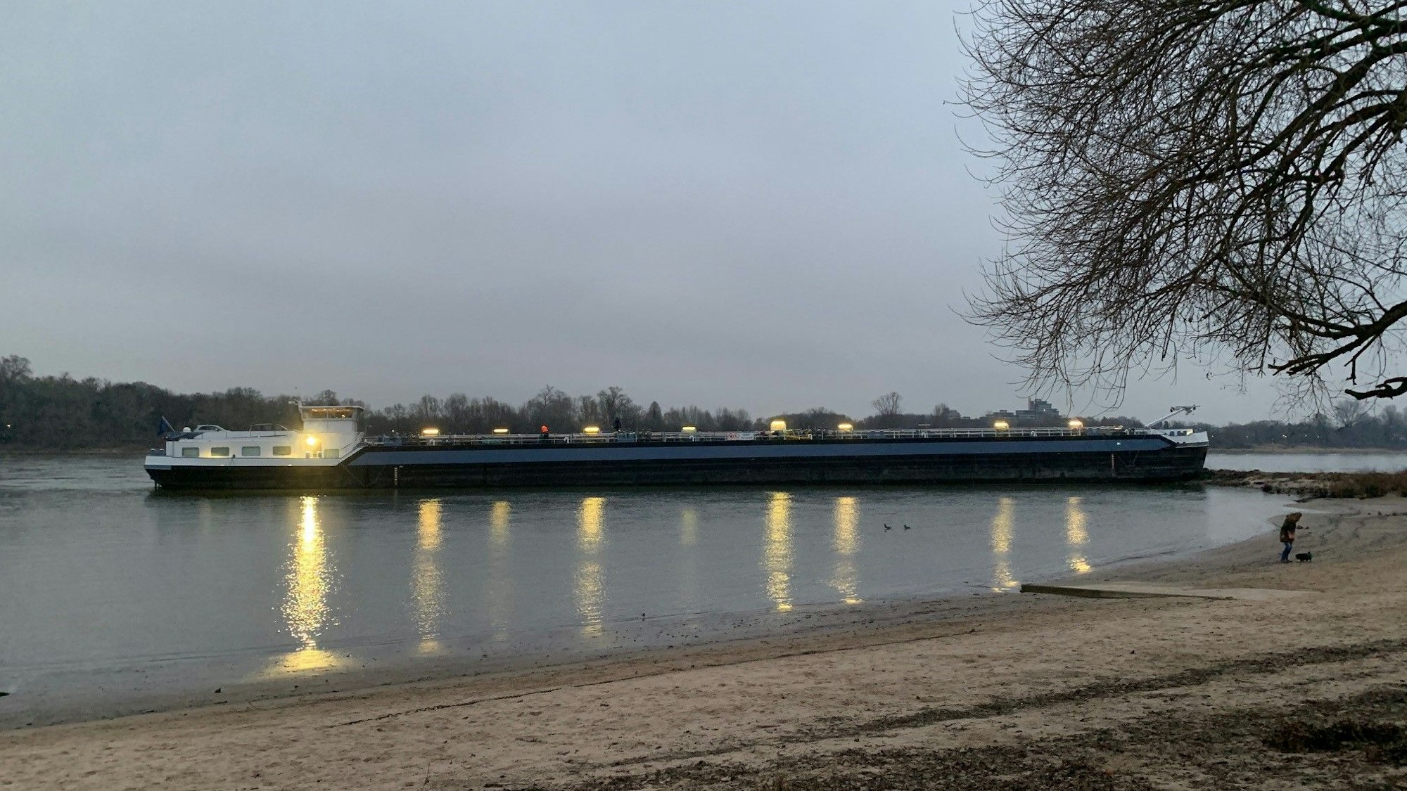 Der aufgelaufene Tankfrachter am Rheinufer in Rodenkirchen.