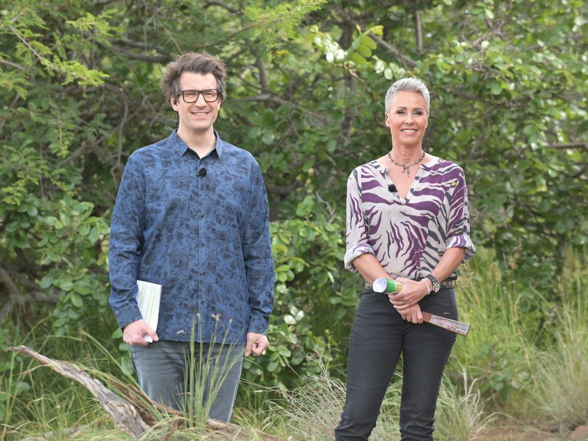 Dschungelcamp 2022: Moderations-Team Daniel Hartwich, Sonja Zietlow
