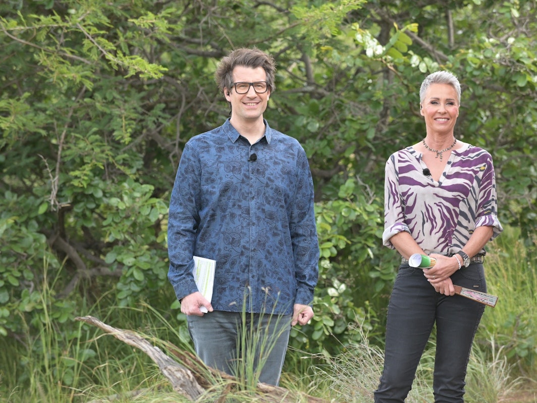 Dschungelcamp 2022: Moderations-Team Daniel Hartwich, Sonja Zietlow