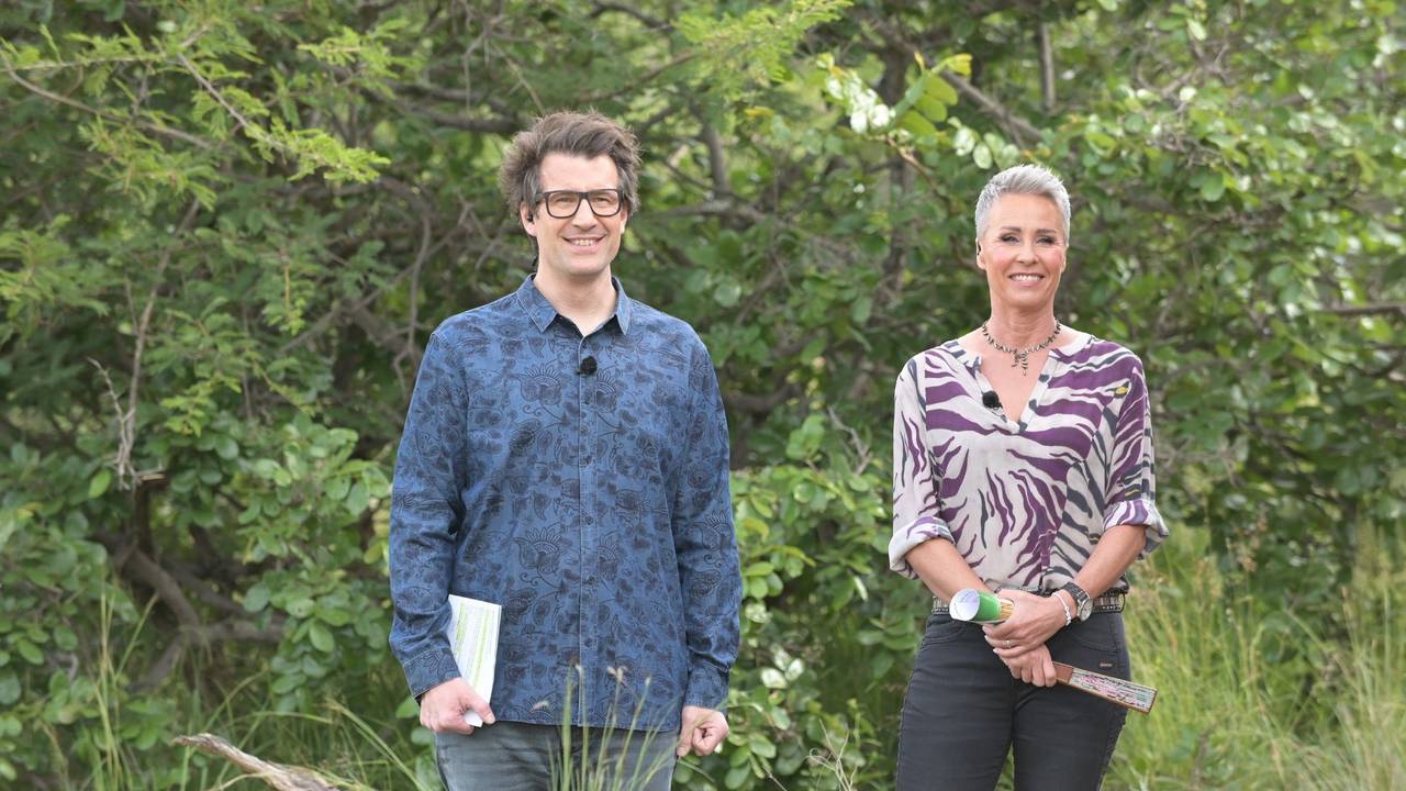 Dschungelcamp 2022: Moderations-Team Daniel Hartwich, Sonja Zietlow