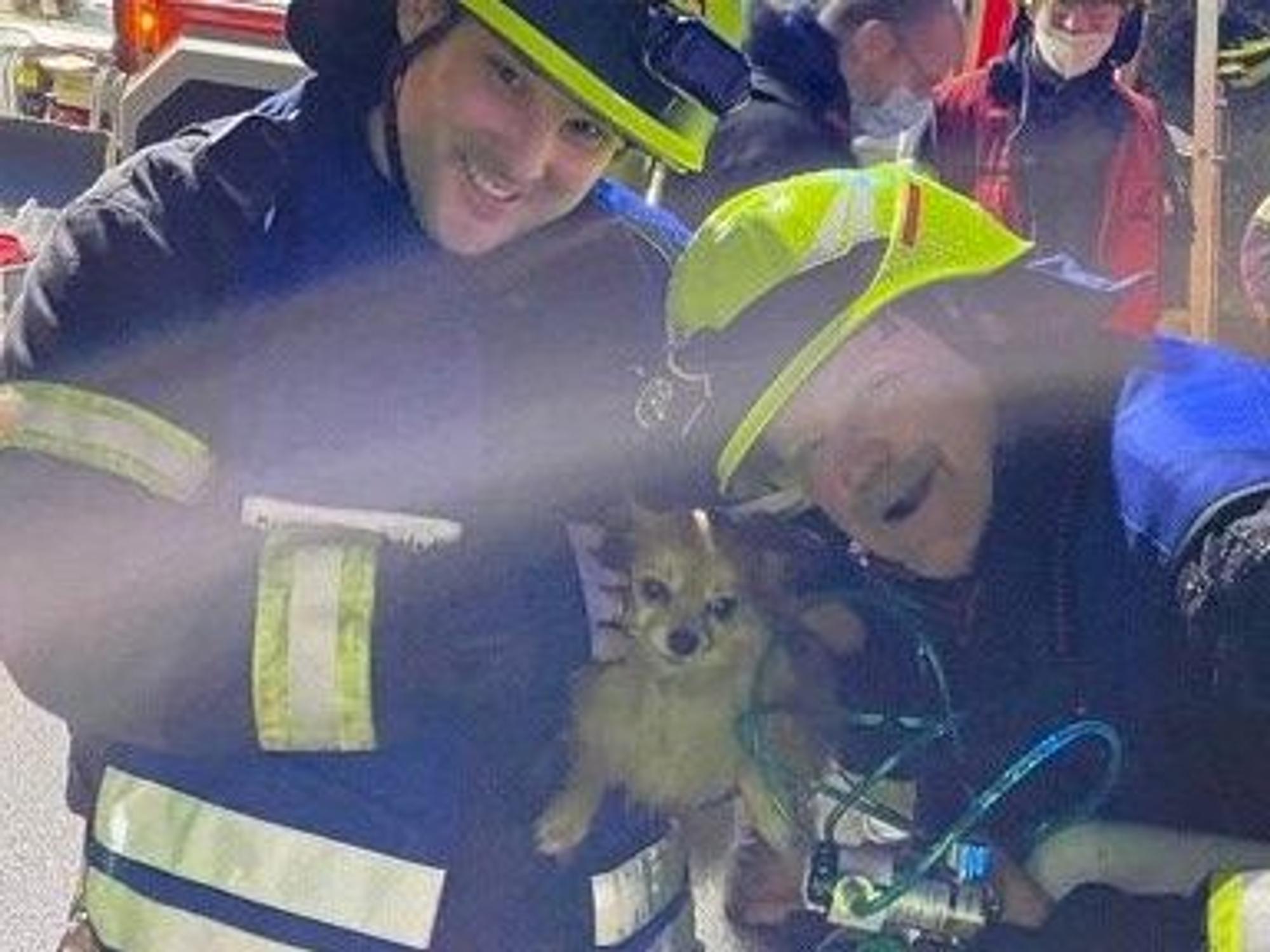 Zwei Feuerwehrmänner halten einen kleinen Hund zwischen sich und lachen in die Kamera.