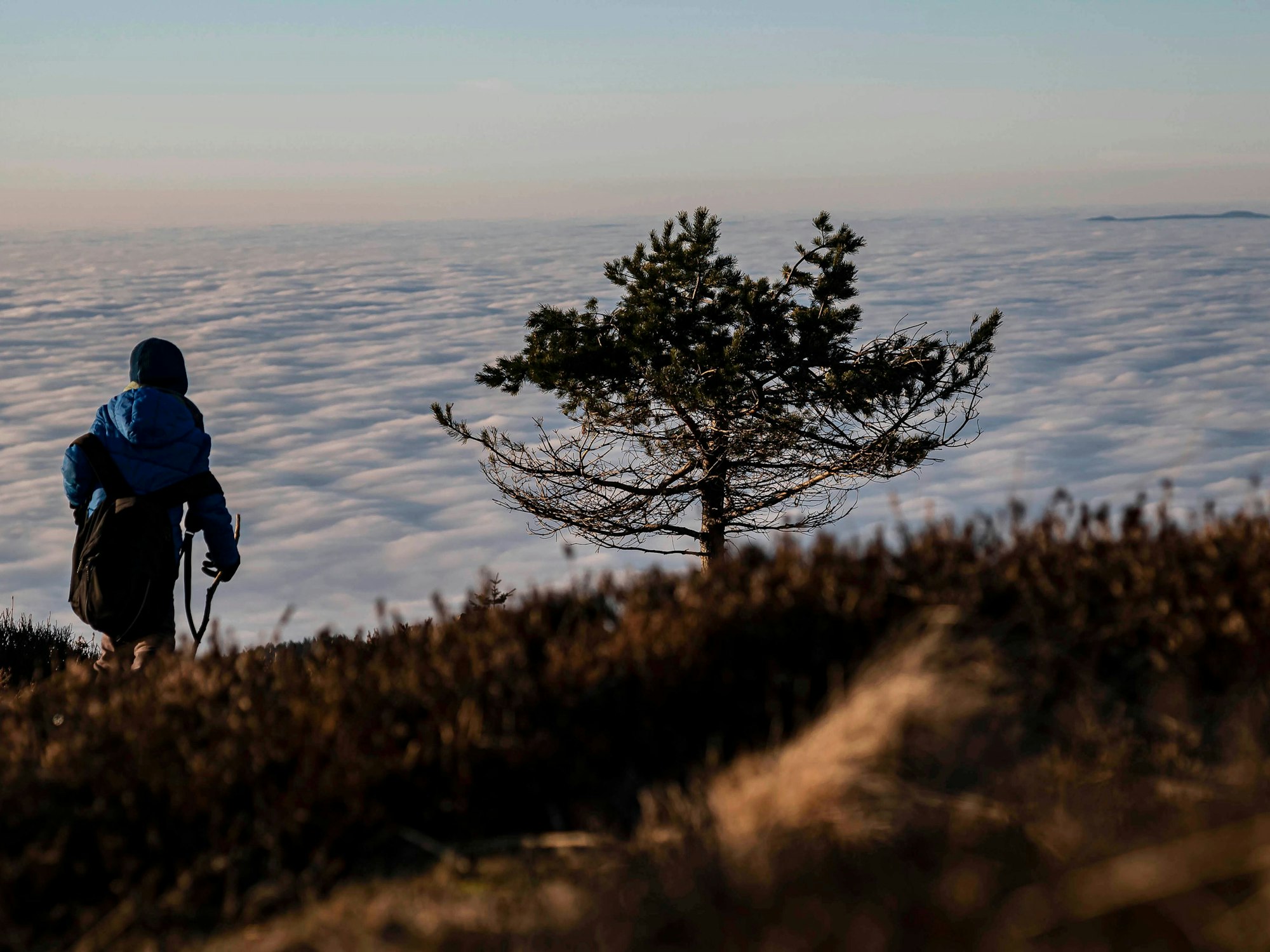 Von der Hornisgrinde im Schwarzwald ist eine Wolkendecke über der Rheinebene zu sehen. Davor läuft ein Wanderer. Foto vom 6. Januar 2020.