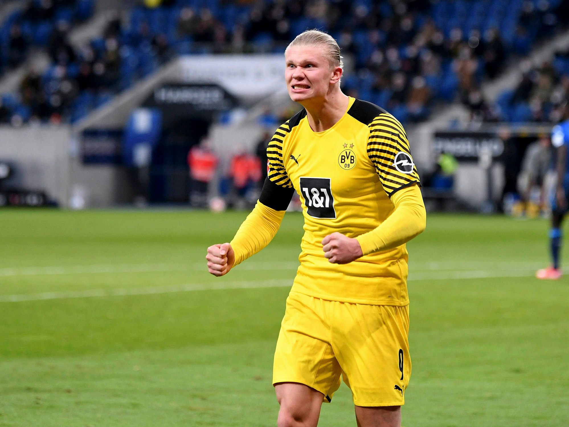 Erling Haaland bejubelt in Hoffenheim sein Tor.