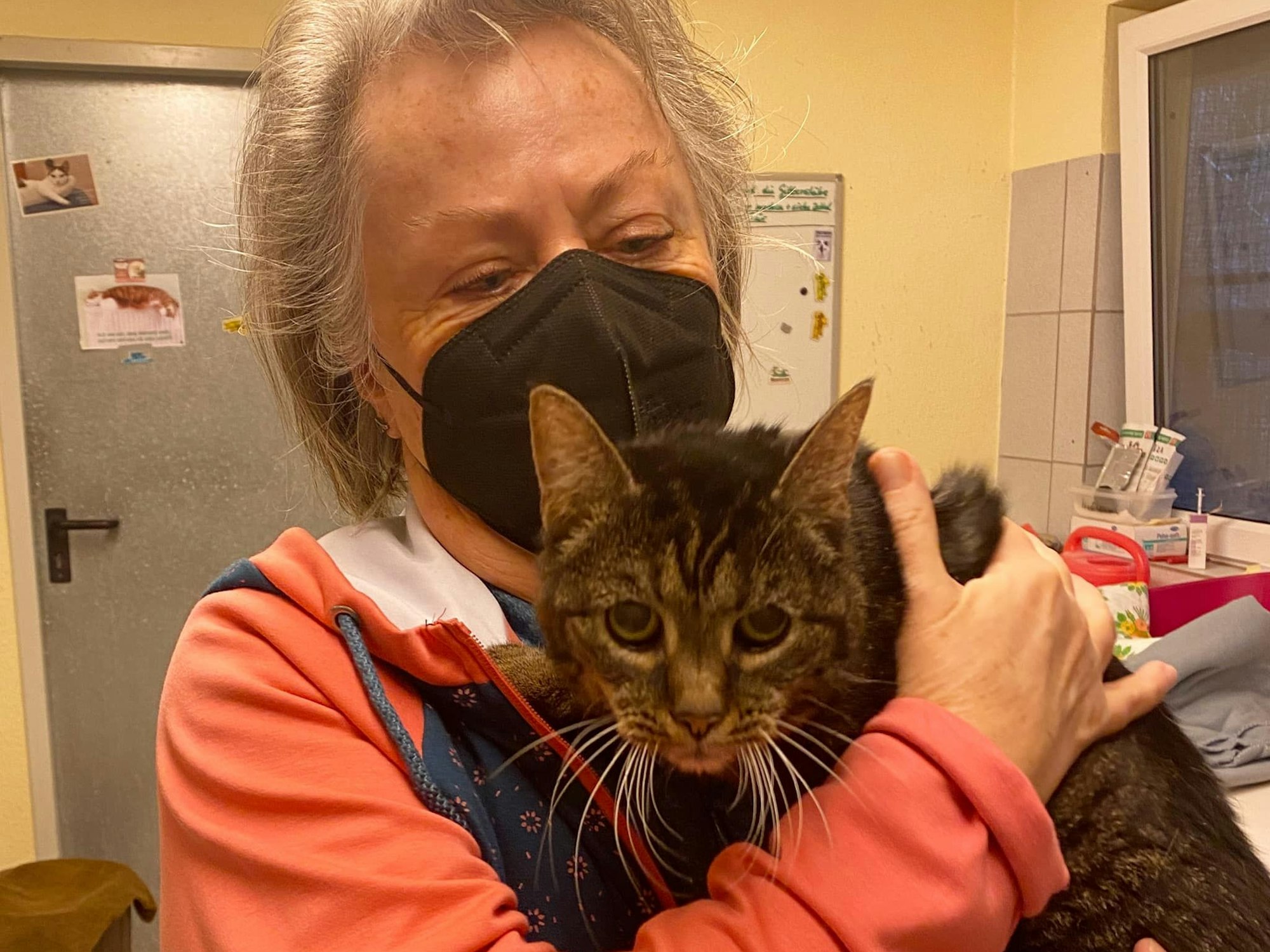 Katze Pucki auf dem Arm ihres neuen Frauchens.