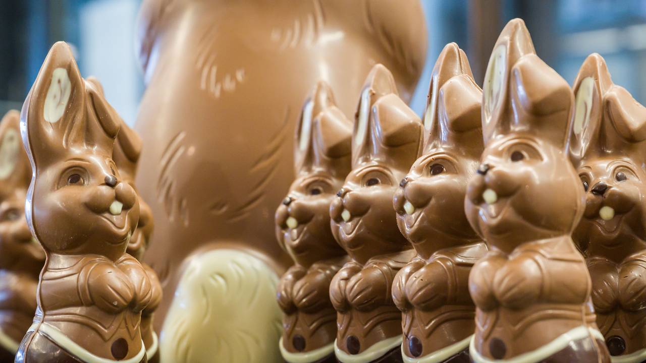 Osterhasen aus Schokolade stehen in der Confiserie Felicitas GmbH. Das Bild wurde am 23. März 2021 aufgenommen.