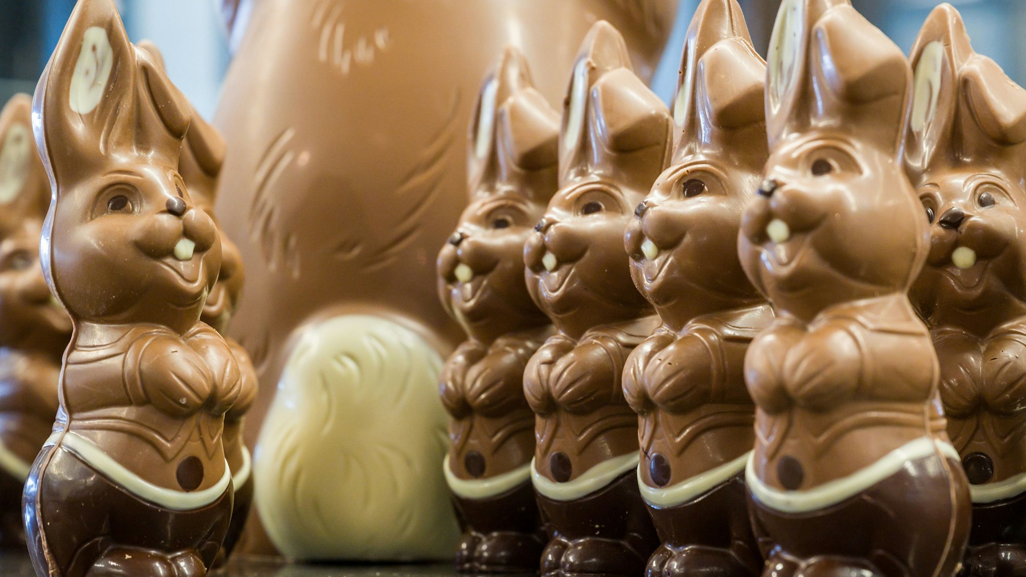 Osterhasen aus Schokolade stehen in der Confiserie Felicitas GmbH. Das Bild wurde am 23. März 2021 aufgenommen.