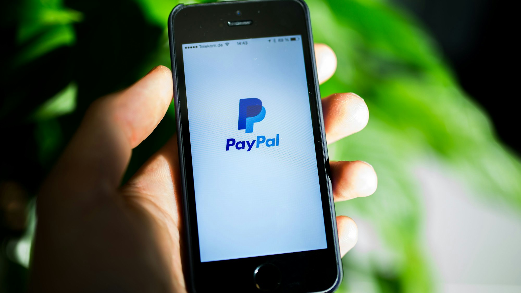 Das PayPal-Logo ist auf einem iPhone zu sehen. Das Bild entstand am 28. Oktober 2014.