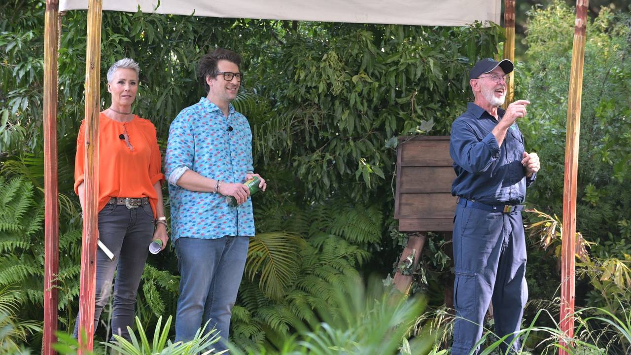Im Dschungelcamp 2022 erklären Sonja Zietlow, Daniel Hartwich und Dr. Bob (rechts) eine Dschungelprüfung.