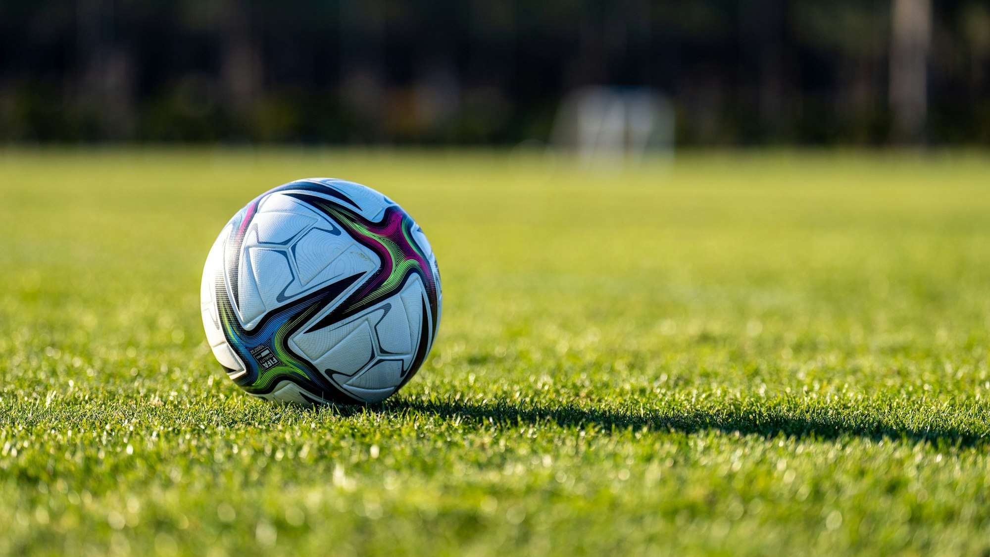 Ein Fußball liegt auf dem Platz