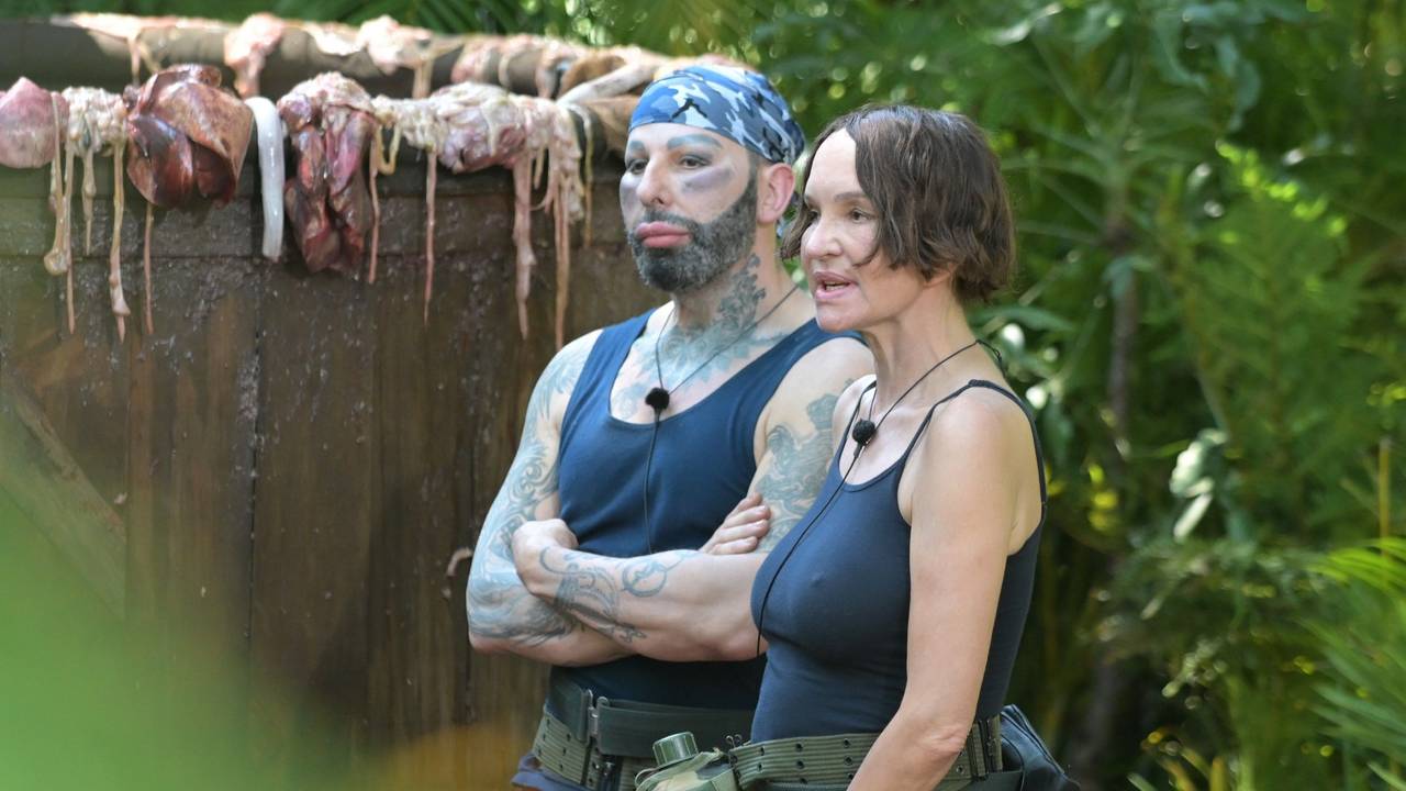 Dschungelcamp 2022: Harald Glööckler, Anouschka Renzi