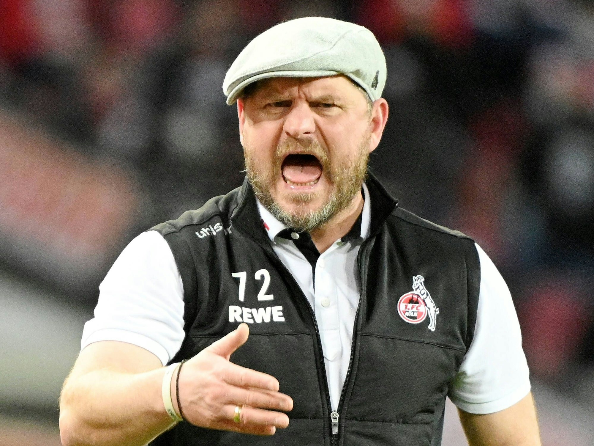 Trainer Steffen Baumgart brüllt Kommandos auf den Platz beim 1. FC Köln.