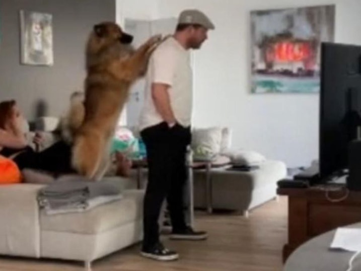 Steffen Baumgart brüllt den Fernseher im heimischen Wohnzimmer an.
