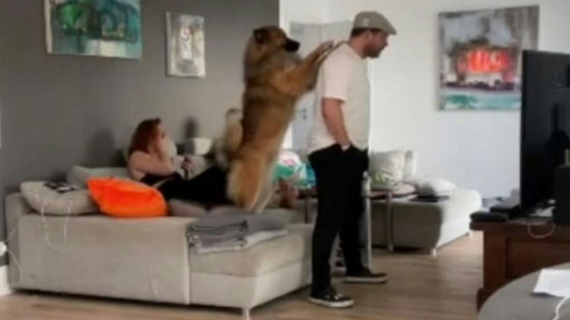 Steffen Baumgart guckt das Spiel 1. FC Köln gegen SC Freiburg.