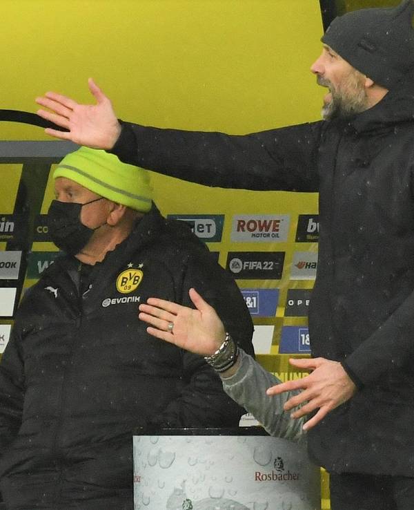 Marco Rose gestikuliert bei Borussia Dortmund in seiner Coaching-Zone.