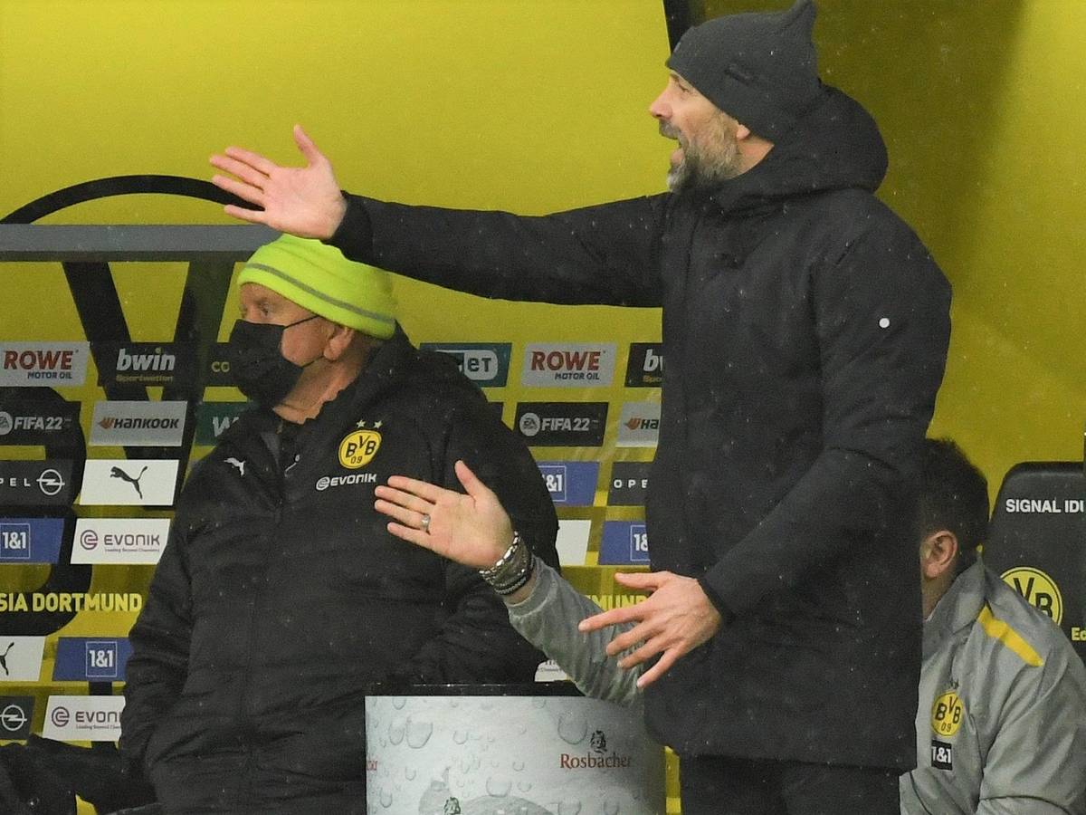 Marco Rose gestikuliert bei Borussia Dortmund in seiner Coaching-Zone.
