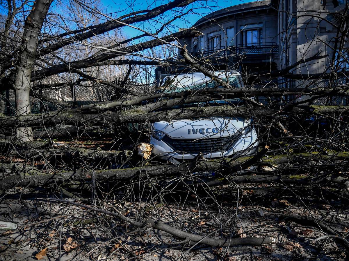 Nach einem heftigen Sturm in der Lombardei machte die italienische Polizei eher zufällig einen schaurigen Fund in Como. Unser Foto zeigt einen umgestürzten Baum, der nach dem heftigen Sturm am 7. Februar in Mailand auf einem Lieferwagen landete.