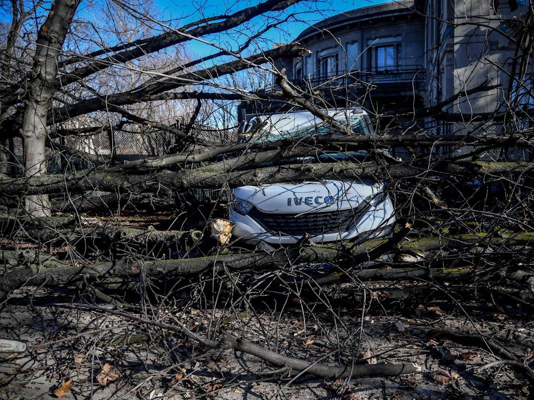 Nach einem heftigen Sturm in der Lombardei machte die italienische Polizei eher zufällig einen schaurigen Fund in Como. Unser Foto zeigt einen umgestürzten Baum, der nach dem heftigen Sturm am 7. Februar in Mailand auf einem Lieferwagen landete.