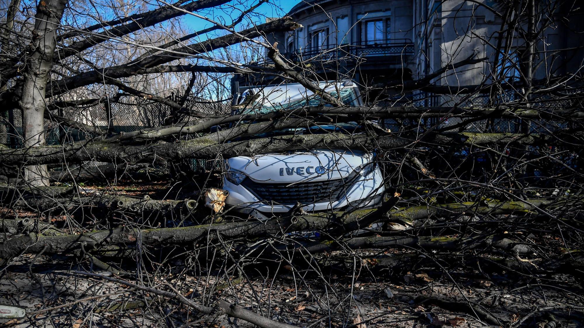 Nach einem heftigen Sturm in der Lombardei machte die italienische Polizei eher zufällig einen schaurigen Fund in Como. Unser Foto zeigt einen umgestürzten Baum, der nach dem heftigen Sturm am 7. Februar in Mailand auf einem Lieferwagen landete.