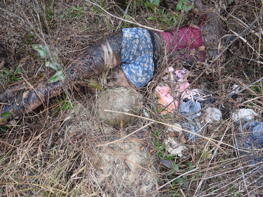 Die Zeugen alarmierten sofort die Polizei, als sie diese Entdeckung in einem Waldstück machten.