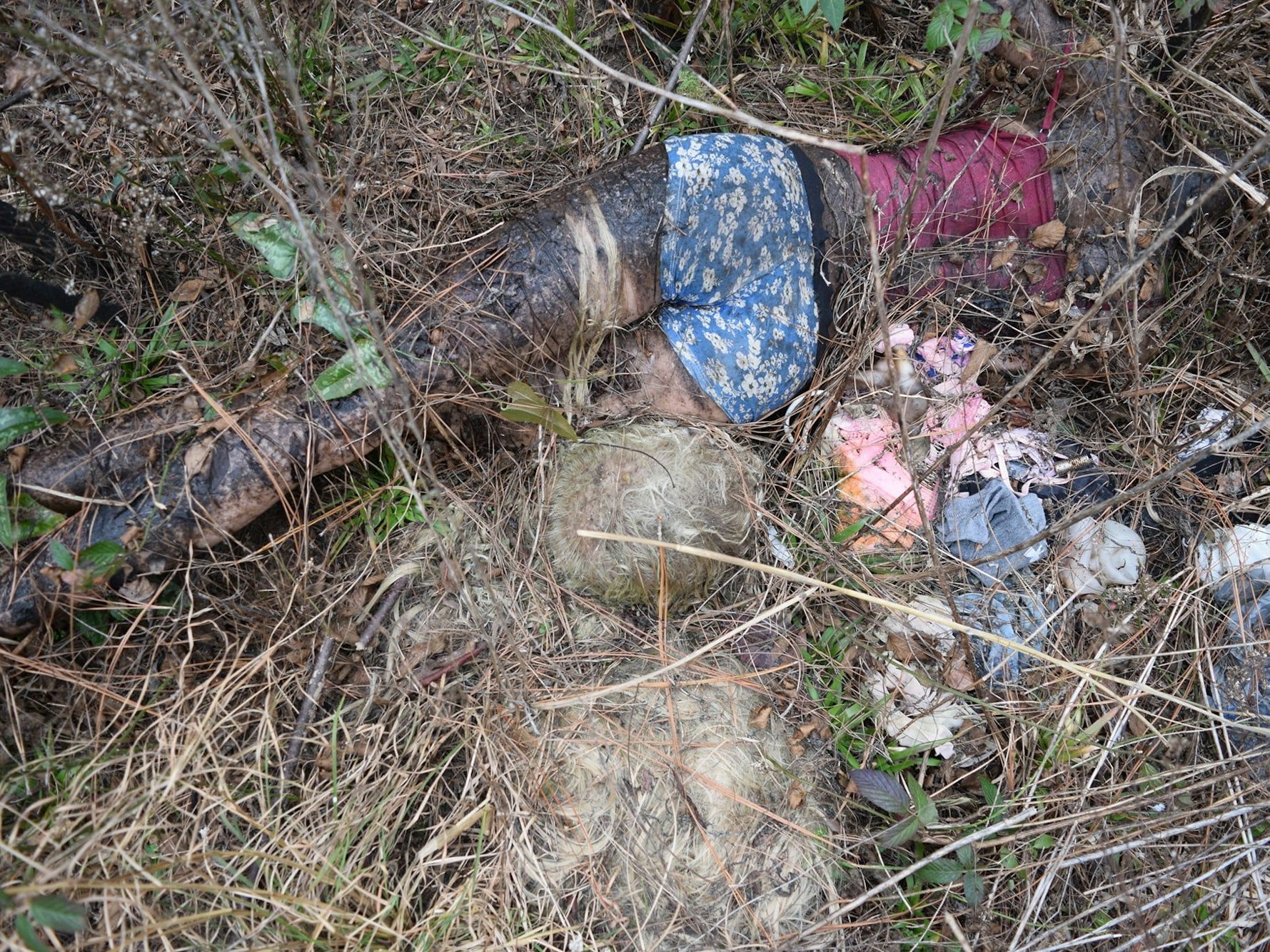 Die Zeugen alarmierten sofort die Polizei, als sie diese Entdeckung in einem Waldstück machten.