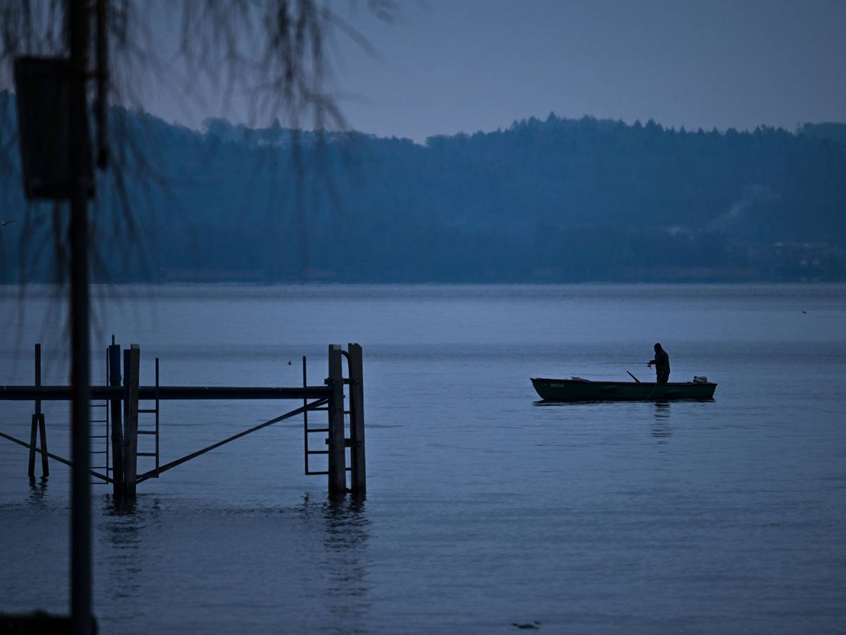 Ein Angler (hier ein Symbolfoto) hat eine mysteriöse Meereskreatur gefangen.
