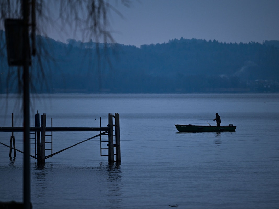 Ein Angler (hier ein Symbolfoto) hat eine mysteriöse Meereskreatur gefangen.