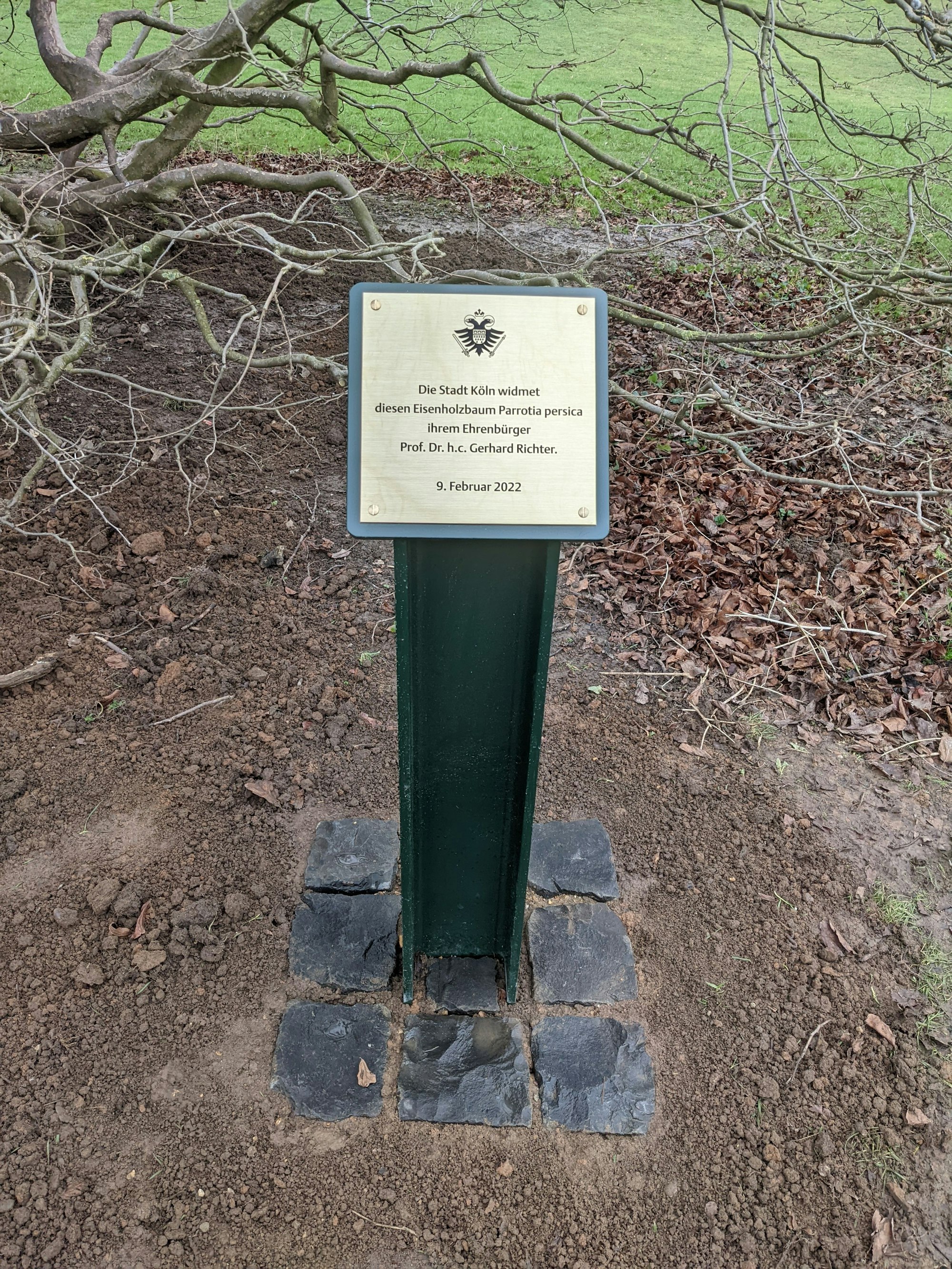 Widmung an Künstler Gerhard Richter neben einem Baum im Kölner Friedenspark.