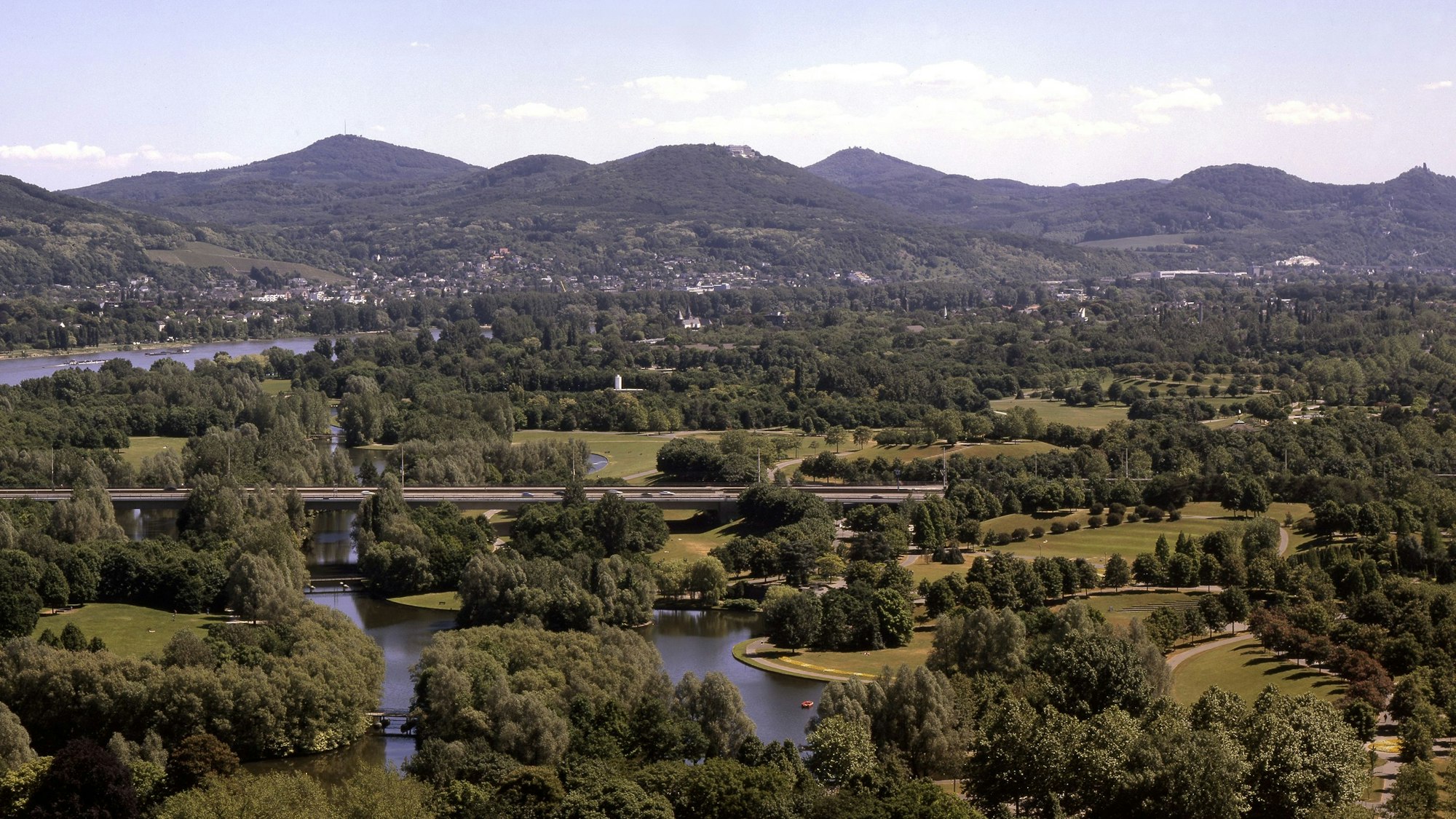 Die Bonner Rheinaue mit unzähligen Bäumen und mehreren Seen
