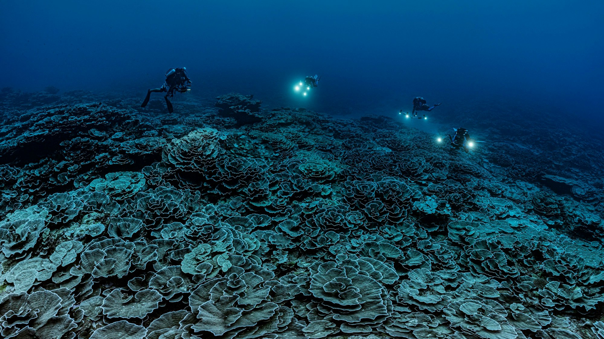 Meeresforschende haben vor der Küste Tahitis in den Tiefen des Südpazifiks ein mehr als drei Kilometer langes Korallenriff entdeckt. Die von Nesseltieren gebildeten Struktur befinde sich in 35 bis 70 Metern Tiefe und scheine in einem guten Zustand zu sein, sagen sie.