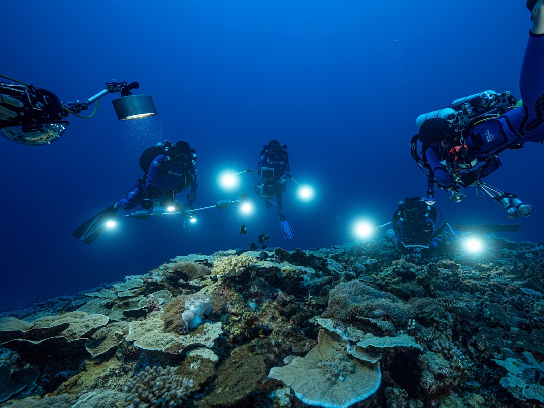 Auf diesem von @alexis.rosenfeld zur Verfügung gestellten Foto untersuchen Forscher des französischen Nationalen Zentrums für wissenschaftliche Forschung im Dezember 2021 Korallen in den Gewässern vor der Küste von Tahiti in Französisch-Polynesien. Dieses Riff haben Taucher im Pazifik entdeckt. Foto: Alexis Rosenfeld/@alexis.rosenfeld via AP/dpa - ACHTUNG: Nur zur redaktionellen Verwendung im Zusammenhang mit der aktuellen Berichterstattung und nur mit vollständiger Nennung des vorstehenden Credits. Verwendung nur bis zum 01.02.2022 ACHTUNG: Dieses Foto hat dpa bereits im Bildfunk gesendet. - Honorarfrei nur für Bezieher des Dienstes dpa-Nachrichten für Kinder +++ dpa-Nachrichten für Kinder +++