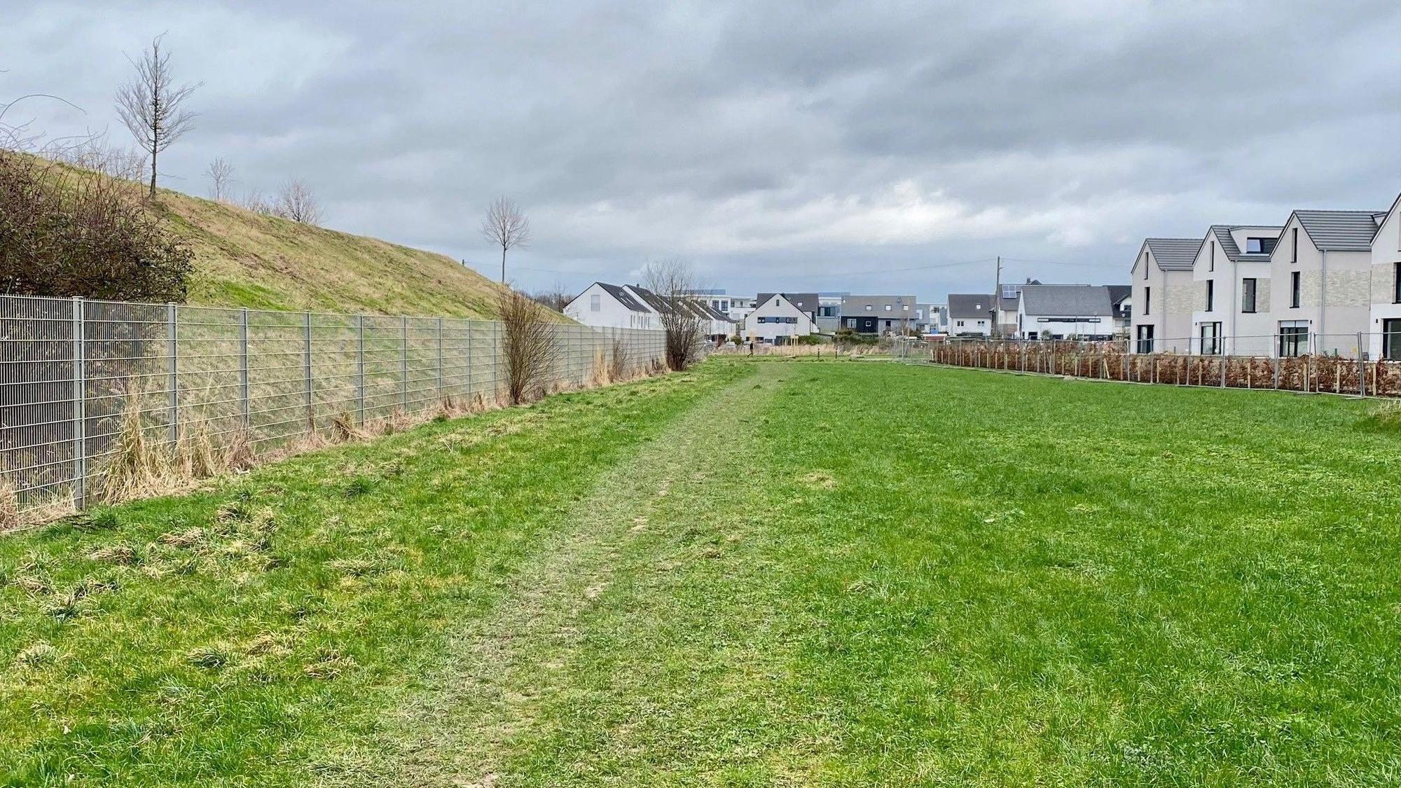 Einge grüne Wiese neben einer Wohnsiedlung