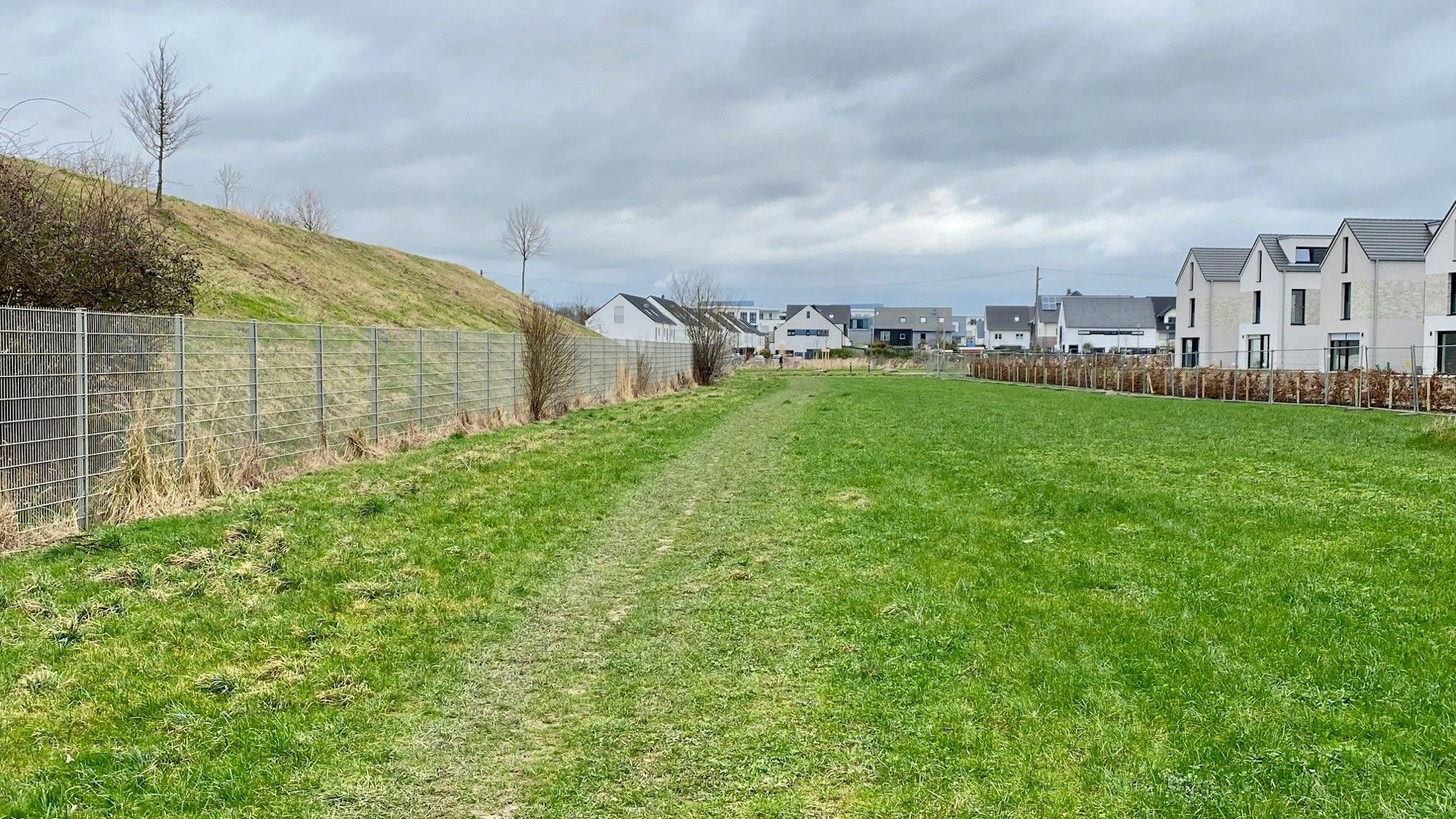 Einge grüne Wiese neben einer Wohnsiedlung