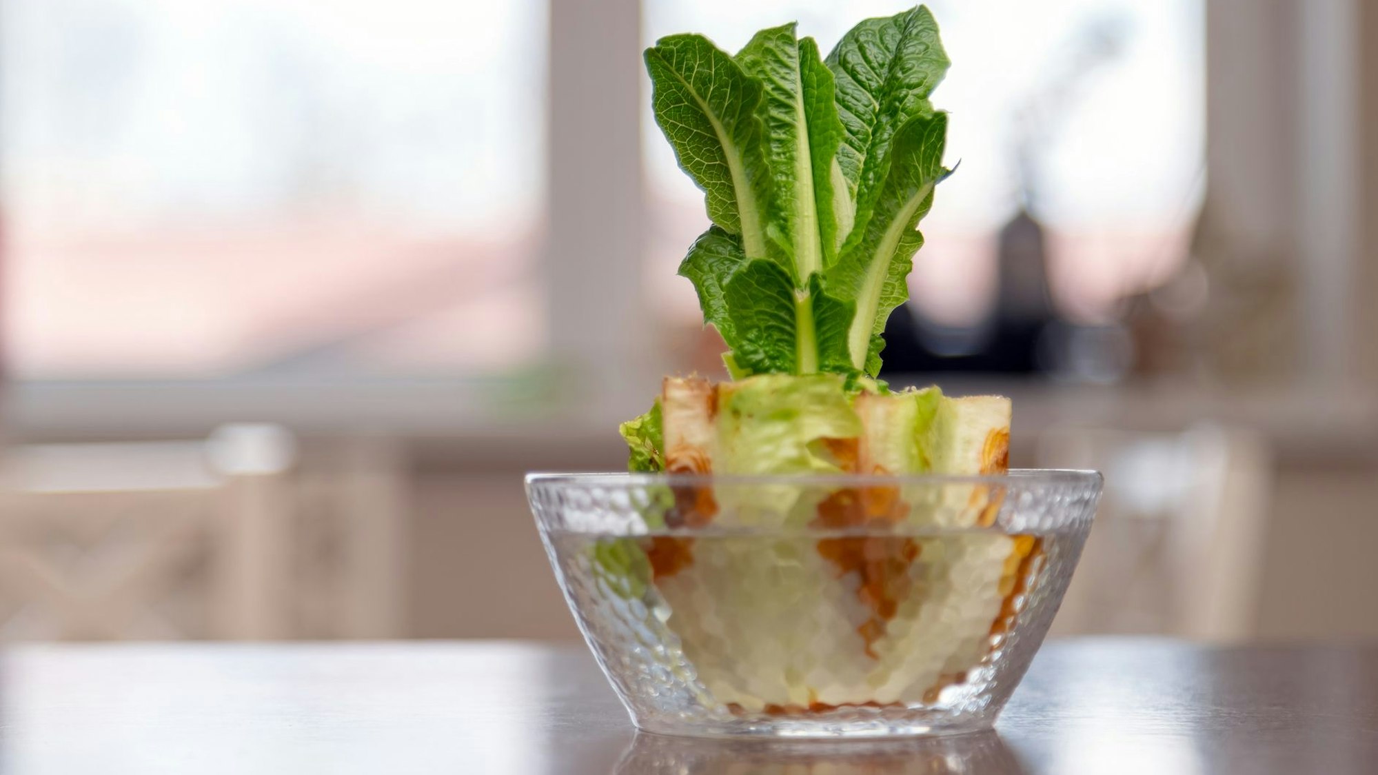 Chinakohl beim Regrowing in einem Glas (undatiertes Symbolfoto).