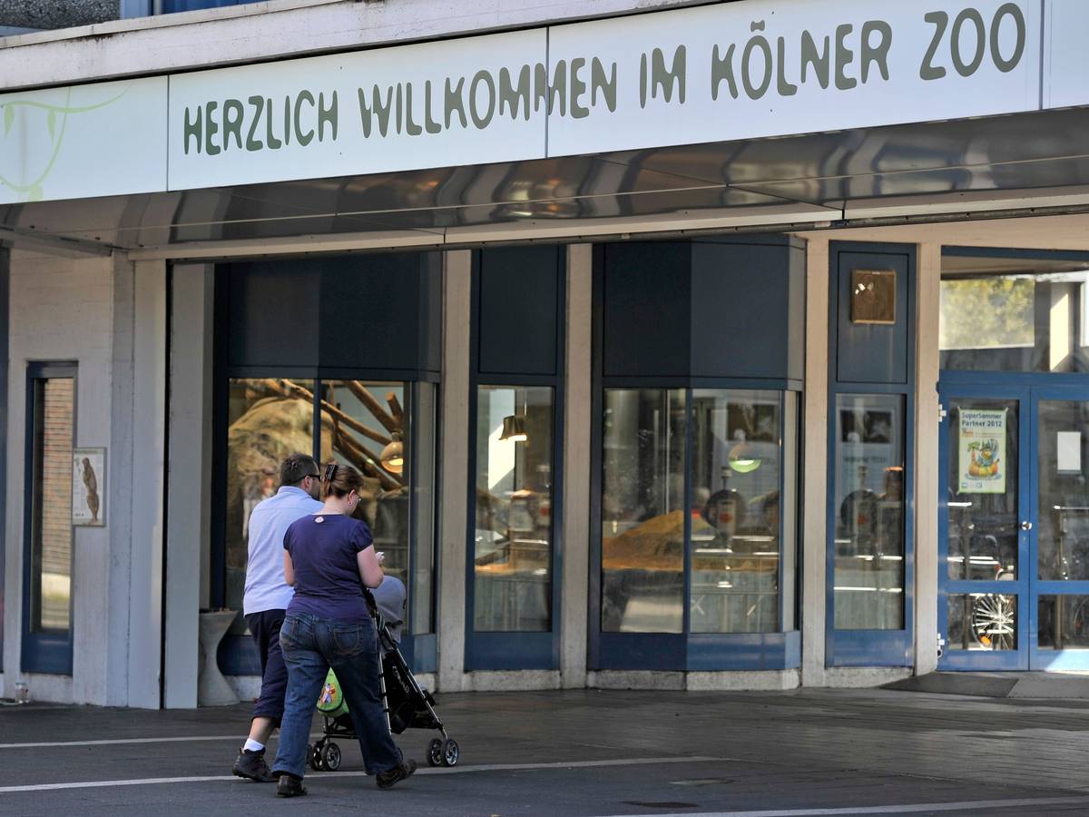 Bescher betreten den Kölner Zoo (Symbolfoto von 2012). Der Zoo hat die Eintrittspreise für 2022 erhöht.