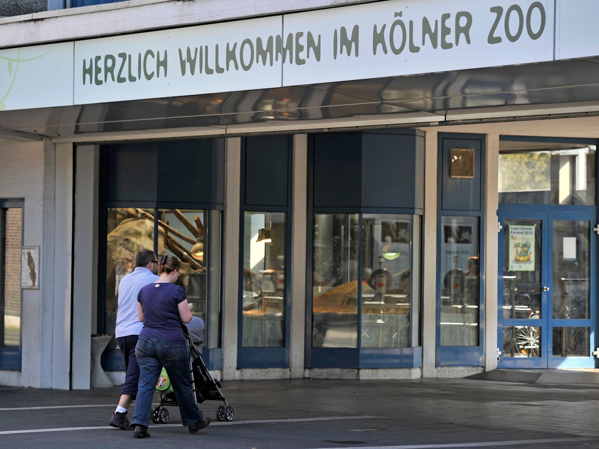 Bescher betreten den Kölner Zoo (Symbolfoto von 2012). Der Zoo hat die Eintrittspreise für 2022 erhöht.