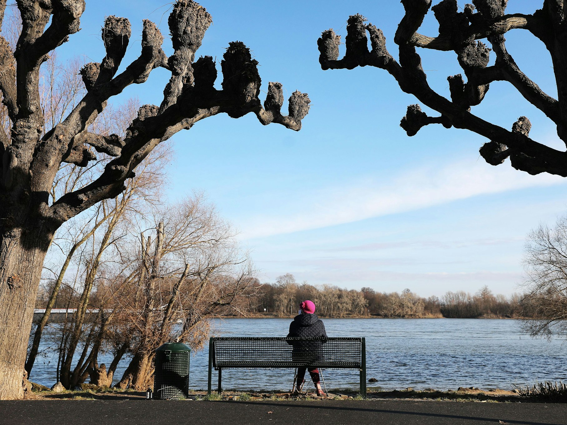 Eine Frau sitzt zwischen Platanen am Kölner Rheinufer in der Sonne.