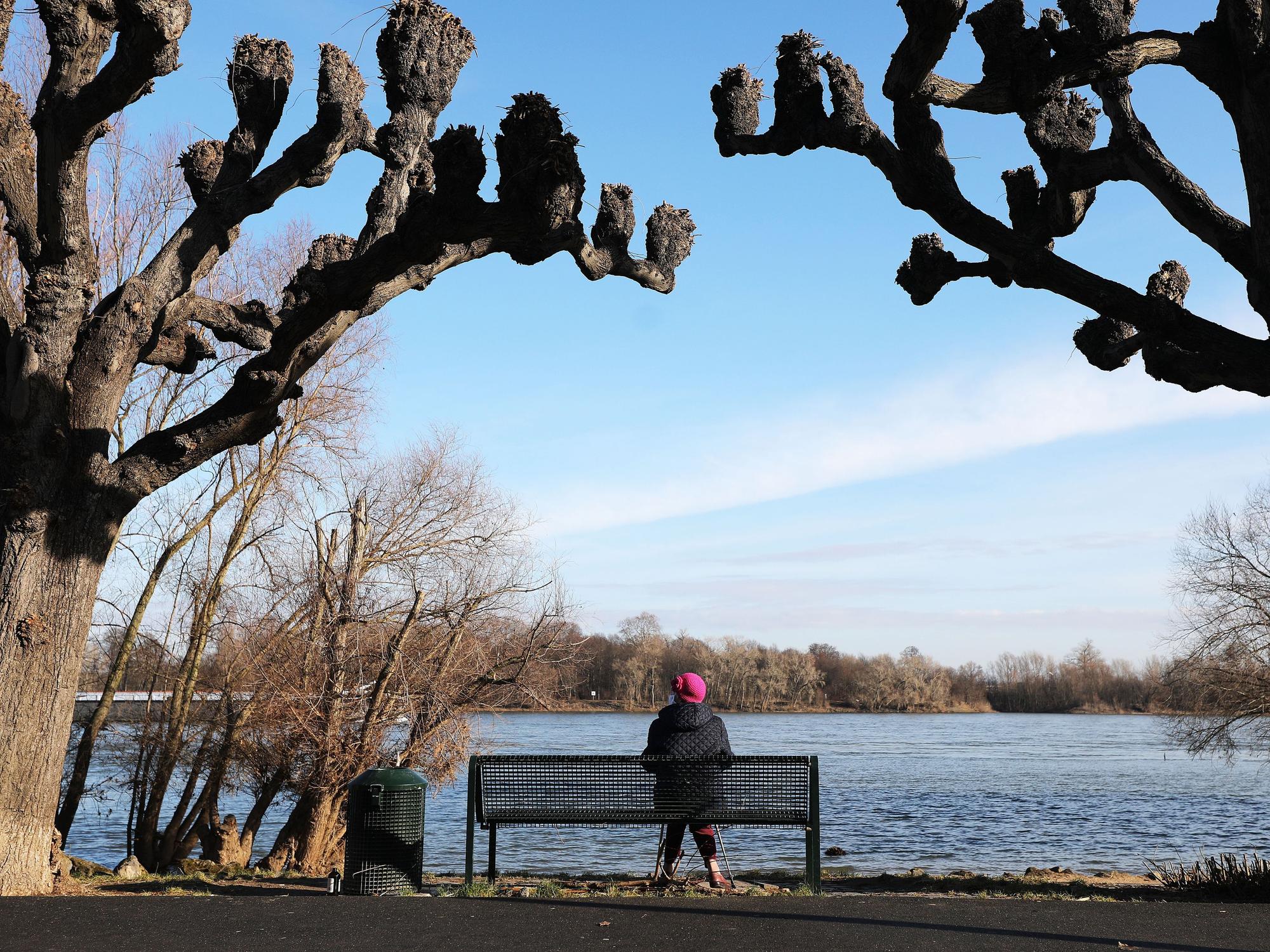 Eine Frau sitzt zwischen Platanen am Kölner Rheinufer in der Sonne.