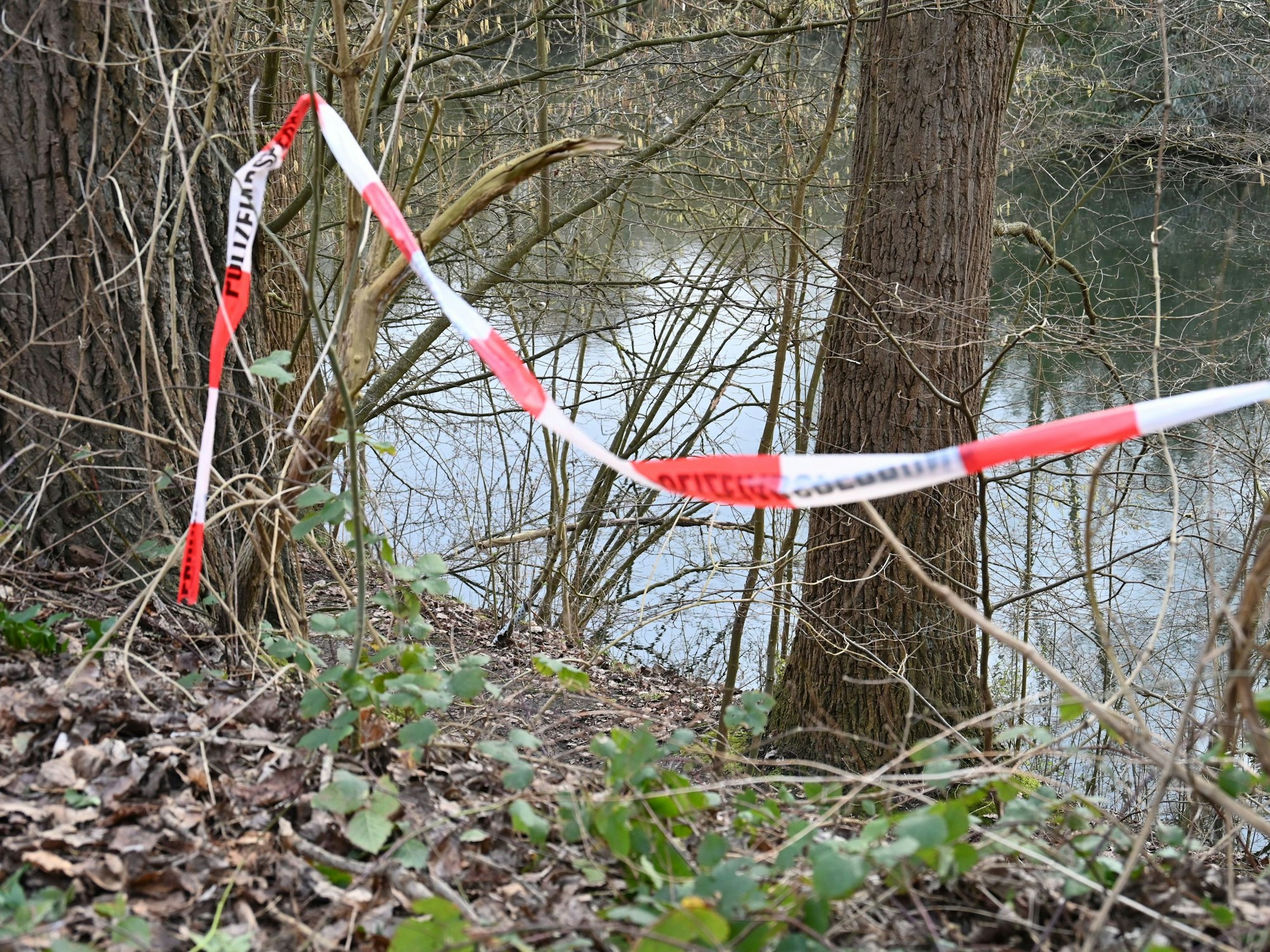 Leichenfund in einem kleinen See in Bergheim Fliesteden.