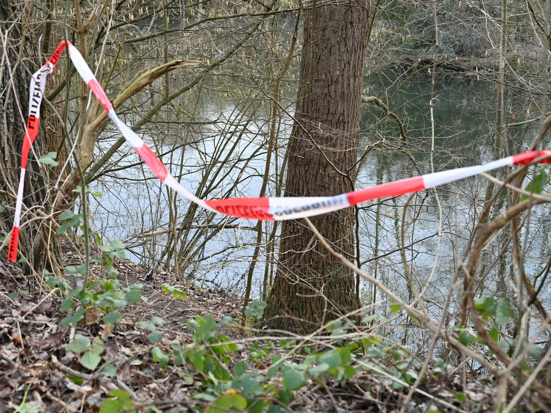 Leichenfund in einem kleinen See in Bergheim Fliesteden.