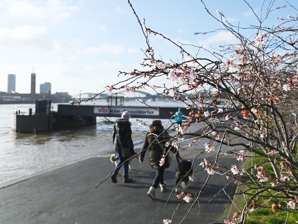 Das Wetter bleibt auch in den nächsten Tagen Wetter sonnig. Allerdings wird der Himmel nicht mehr ganz so strahlend blau sein. Das Foto wurde am 11. Februar 2022 am Rheinufer in Köln aufgenommen.