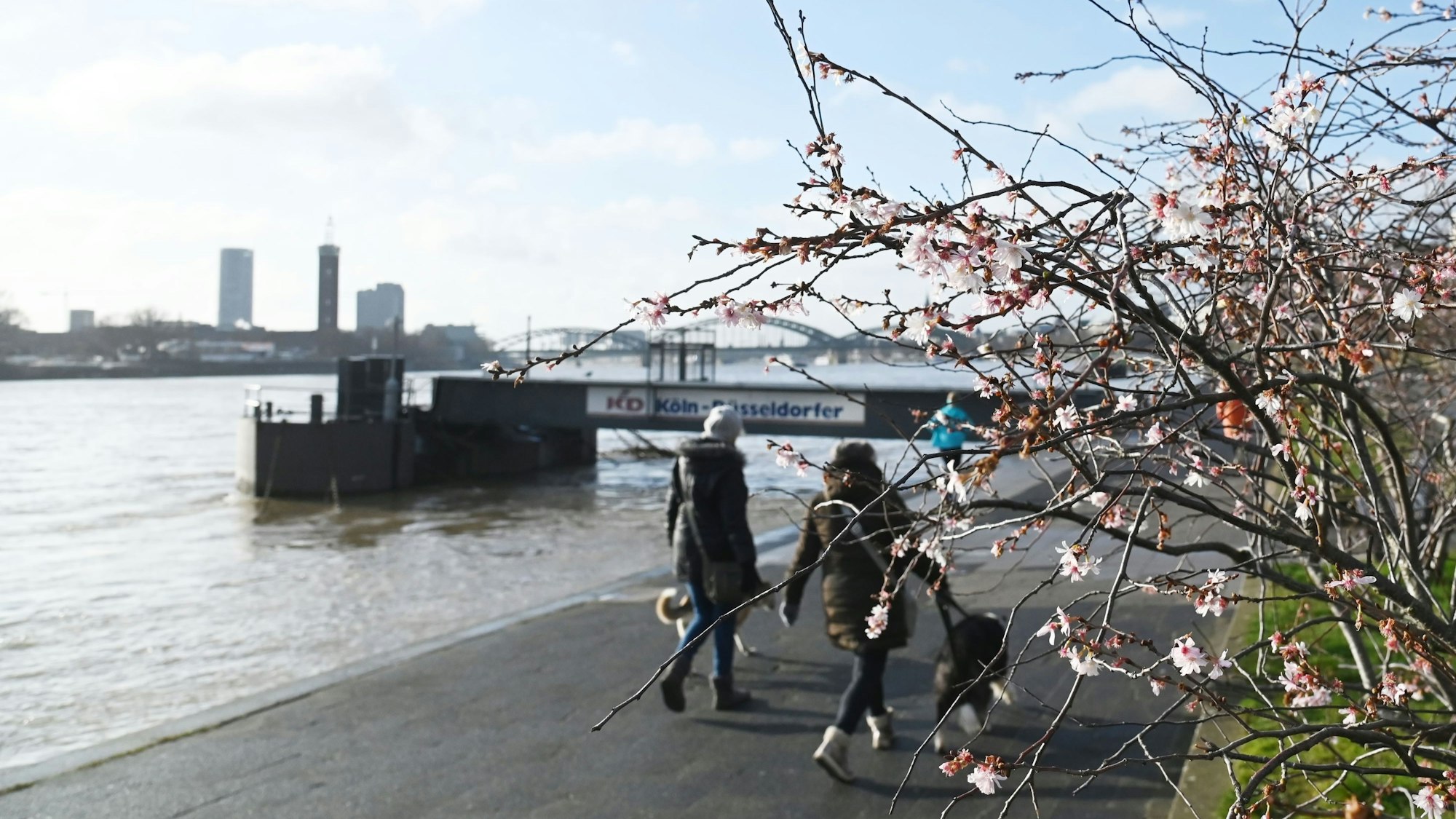 Das Wetter bleibt auch in den nächsten Tagen Wetter sonnig. Allerdings wird der Himmel nicht mehr ganz so strahlend blau sein. Das Foto wurde am 11. Februar 2022 am Rheinufer in Köln aufgenommen.