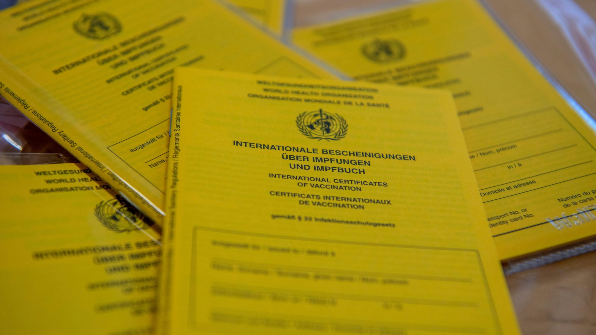 Mehrere Blanko-Impfpässe liegen auf einem Tisch.