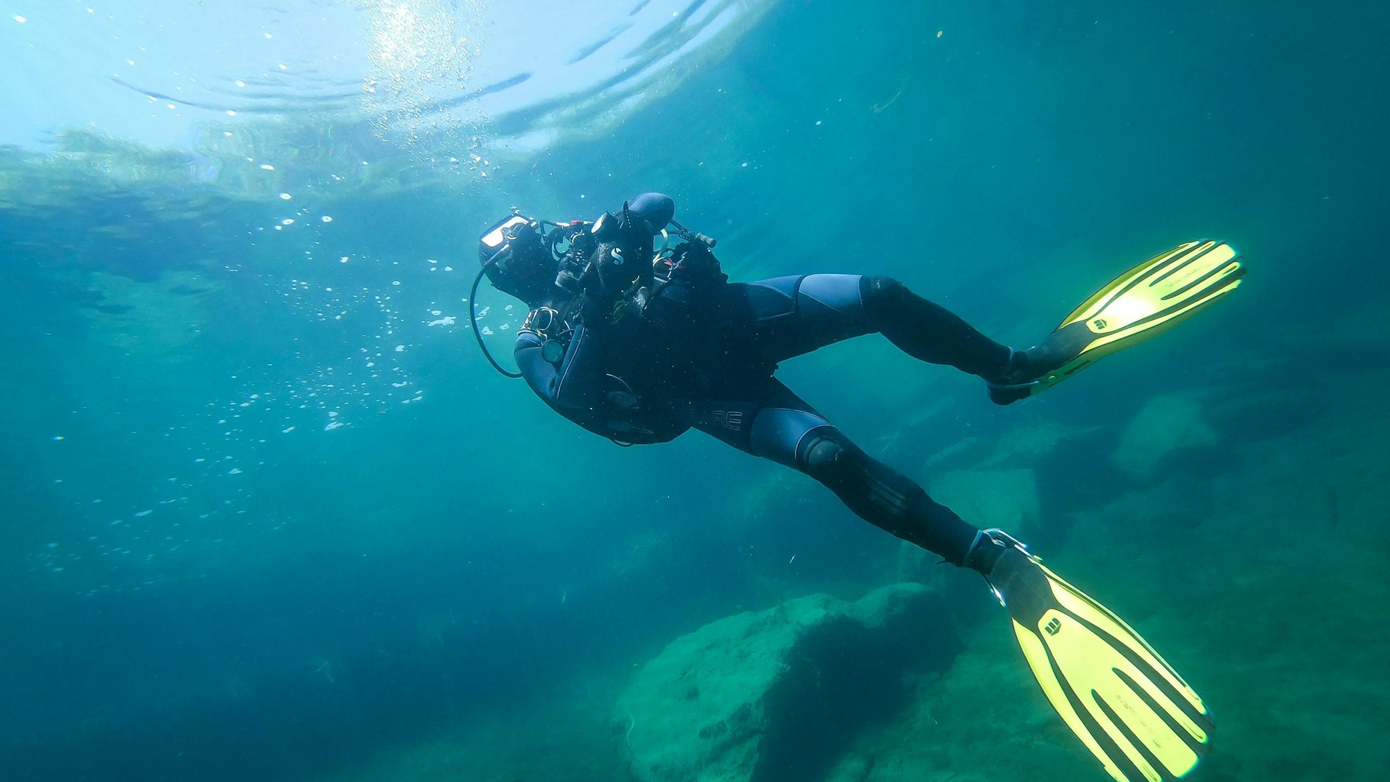 Bei einem Tauchgang (hier ein Symbolfoto) entdeckte die Forscherin das seltene Exemplar.